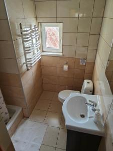 コニャクフにあるDom Koniakówのバスルーム(洗面台、トイレ付)、窓が備わります。