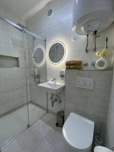a bathroom with a shower and a toilet and a sink at VILA SABRINA Selce in Selce