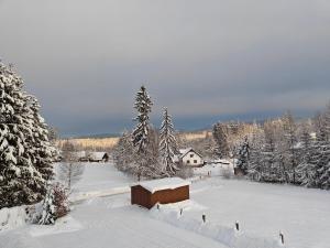 a snow covered yard with a house and trees at Dom Koniaków in Koniaków