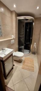 a bathroom with a shower and a toilet and a sink at Chaluba Bully 243 in Donovaly