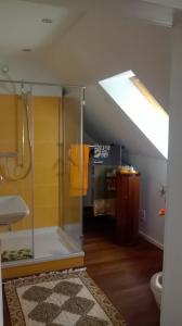 a bathroom with a shower and a toilet in a attic at Bvba Bacana in Rotselaar
