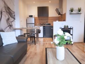 een woonkamer met een bank en een keuken bij Vue Montagne - Appt Cosy et calme - Netflix - Fibre in Grenoble