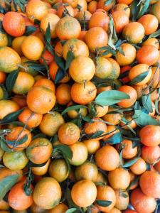 un cumulo di arance con foglie verdi di Apartamento La Palmera a Torrevieja Altre 31 foto