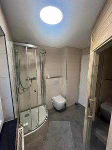 a bathroom with a shower and a toilet and a sink at Panoramablick Willingen Schwalefeld in Willingen