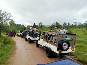 a group of safari vehicles on a dirt road at Kithmi Resort in Polonnaruwa