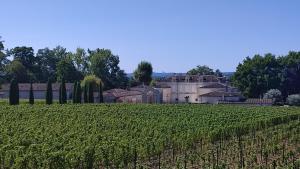 Ogród w obiekcie Maison Charmeilles - La suite Fronsac