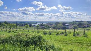 Przyroda w pobliżu tego obiektu B&B