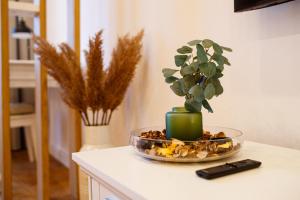 a plant in a bowl on top of a counter at The Chic One, Unirii Square View in Timişoara