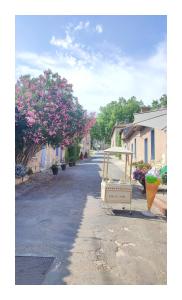 Okolica w pobliżu tego obiektu B&B
