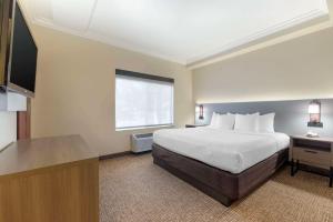Habitación de hotel con cama y ventana en Comfort Suites Oceanside Camp Pendleton Area, en Oceanside