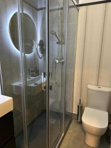 a bathroom with a shower and a toilet at Posada de los Venerables in Seville