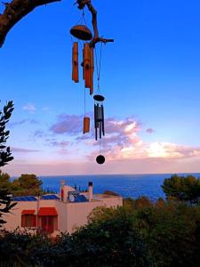 a group of windmills hanging from a tree near the ocean at Little Paradise con giardino, miniappartamento in Marittima