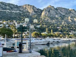 Ein Haufen Boote, die in einem Yachthafen mit Bergen angedockt sind. in der Unterkunft Luxury Top Floor Apartment with terrace - Beaulieu Sur Mer in Beaulieu-sur-Mer