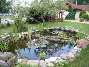 einen Garten mit einem Teich mit einem Haufen Koi in der Unterkunft Penzion U Vejvodu in Třeboň