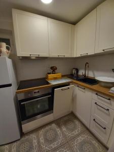 Kuchyň nebo kuchyňský kout v ubytování Studio apartman Singer