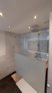 een witte badkamer met een glazen wand bij Ferienwohnung Plattner in Schmirn