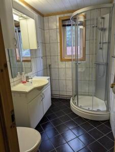 Apartment in Rjukan في Rjukan: حمام مع دش ومغسلة ومرحاض