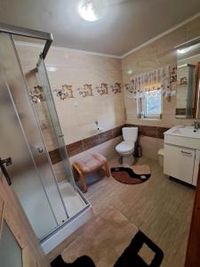 a bathroom with a shower and a toilet and a sink at Domek pod Świerkami in Czarna