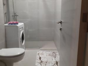 Apartman Podgoricaにあるバスルーム