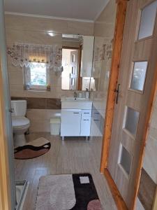 a bathroom with a toilet and a sink at Domek pod Świerkami in Czarna