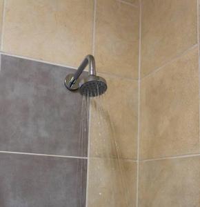 a shower with a shower head with water coming out at Long & Short StaysTranquil & Private FREE Parking in Johannesburg