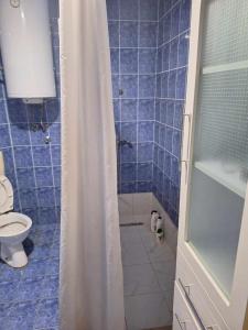 a blue tiled bathroom with a shower and a toilet at Komforna kuca Pale in Pale