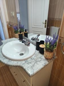 a bathroom sink with plants on a marble counter at Chalet Chilches Costa 1ª linea PLAYA in Vélez-Málaga