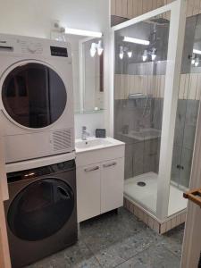 y baño con lavadora, lavamanos y ducha. en L'univers au blanc., en Estrasburgo
