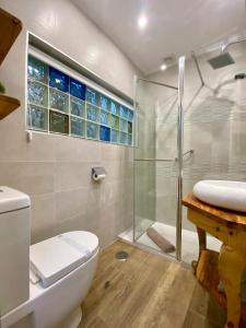 uma casa de banho com um chuveiro, um WC e um lavatório. em Casa Felicitas Medina em Medina del Campo
