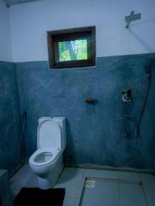 錫吉里亞的住宿－Sigiri Sunrise Villa，一间带卫生间和窗户的浴室