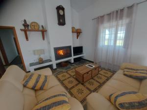 Quinta do Mocho في Arcos: غرفة معيشة مع أريكة ومدفأة