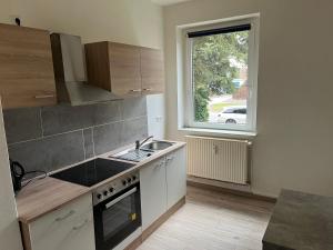 a kitchen with a sink and a stove and a window at Monteurswohnungen Ferropolis in Gräfenhainichen
