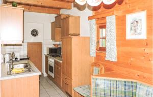 a kitchen with wooden cabinets and a sink at Pet Friendly Home In Fischbach With House A Panoramic View in Fischbach
