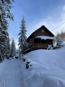 une cabane en rondins dans la neige avec des arbres enneigés dans l'établissement Dom na końcu świata, à Ochotnica Górna
