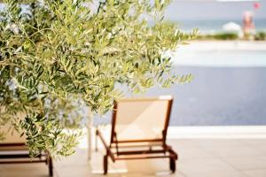 een houten stoel naast een boom bij Heaven in Sunny Beach