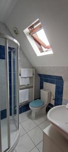 a bathroom with a toilet and a skylight at Chambre d'hôtes de la tulipe in Mittelbergheim
