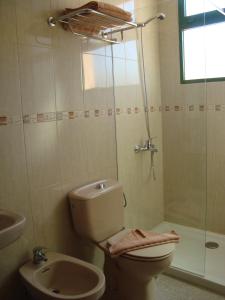 a bathroom with a toilet and a shower and a sink at Castillo Playa in Caleta De Fuste