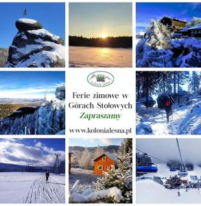 uma colagem de fotos de diferentes paisagens de inverno em Domki KOLONIA LEŚNA z sauną i gorącą balią em Radków