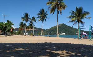 een strand met palmbomen en een volleybalnet bij Espaço Casa Branca in Caraguatatuba