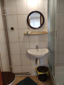 ein kleines Bad mit einem Waschbecken und einem Spiegel in der Unterkunft DG EWA w Polańczyku in Polańczyk