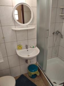 ein Bad mit einem Waschbecken, einem Spiegel und einer Dusche in der Unterkunft DG EWA w Polańczyku in Polańczyk