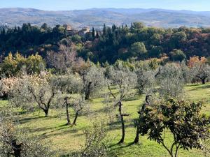 un campo con árboles y colinas en el fondo en Poggiosole en Tavarnelle in Val di Pesa