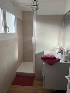 a small bathroom with a shower and a sink at Le temps suspendu - Futuroscope in Jaunay-Clan