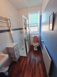 uma casa de banho com um WC, um chuveiro e um lavatório. em Thornbury Accommodation em Burnham on Sea