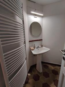 ein Bad mit einem Waschbecken und einer Dusche mit einem Spiegel in der Unterkunft Brussels Bed & Blockchain Private rooms with shared bathroom in Brüssel