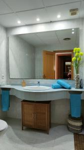 baño con lavabo y espejo grande en Apartamentos Montsià Mar, en Sant Carles de la Ràpita
