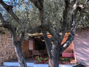 a tree in front of a house with flowers at Splendid cottage on Tuscan Sea in Porto Santo Stefano +23 photos