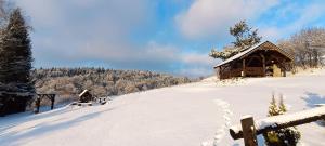 バリグルトにあるBojkówka Domki Wypoczynkoweのキャビンを背景にした雪の坂道