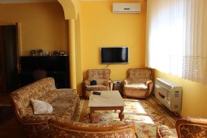 TV a/nebo společenská místnost v ubytování Guest House Lazika