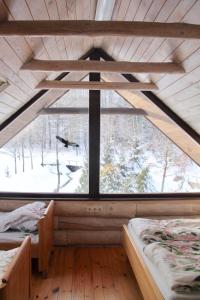 Zimmer mit 2 Betten und einem großen Fenster in der Unterkunft Kaimo sodyba Dešimt Beržų 
